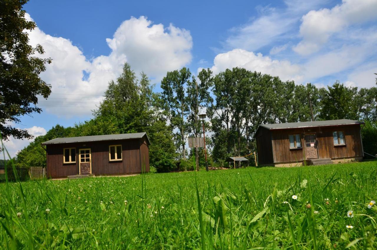 Teichcamp Hostel Grosshartmannsdorf Bagian luar foto
