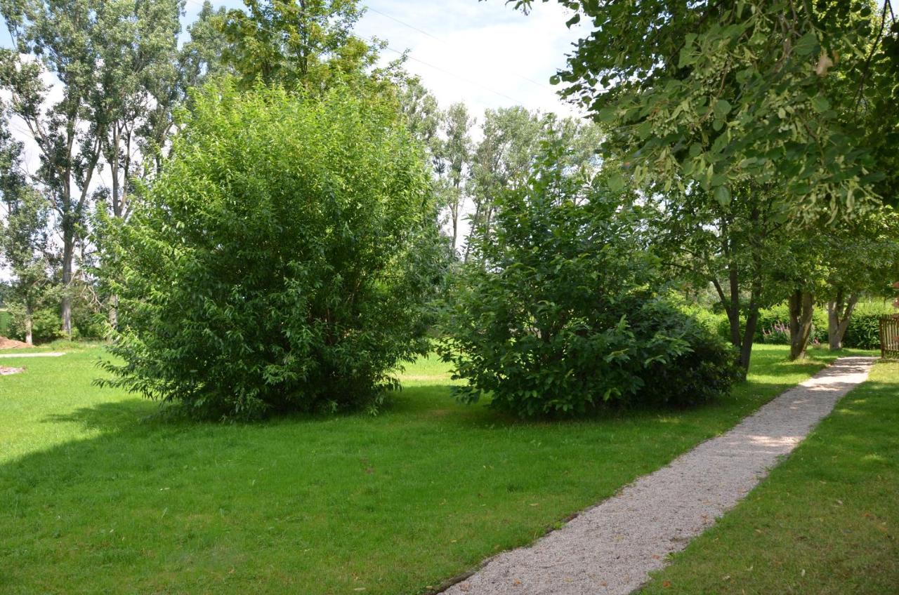 Teichcamp Hostel Grosshartmannsdorf Bagian luar foto